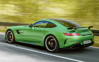 Mercedes-AMG GT R (2016) (#49951)