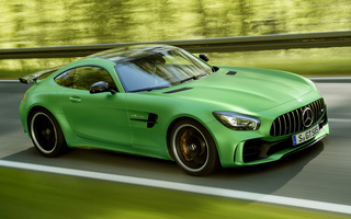 Mercedes-AMG GT R (2016) (#49952)