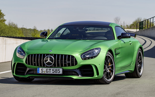 Mercedes-AMG GT R (2016) (#49954)