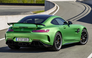 Mercedes-AMG GT R (2016) (#49955)