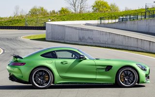 Mercedes-AMG GT R (2016) (#49957)