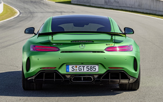 Mercedes-AMG GT R (2016) (#49958)