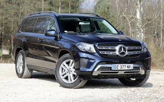 Mercedes-Benz GLS-Class (2016) (#50835)