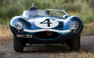 Jaguar D-Type [501] (1955) (#50970)