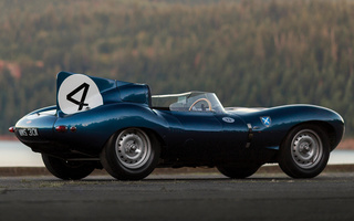 Jaguar D-Type [501] (1955) (#50975)