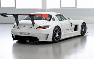 Mercedes-Benz SLS AMG GT3 (2011) (#53238)