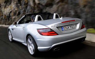 Mercedes-Benz SLK-Class AMG Styling (2011) (#53265)