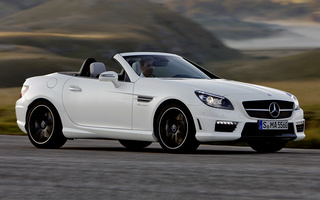 Mercedes-Benz SLK 55 AMG (2011) (#53345)