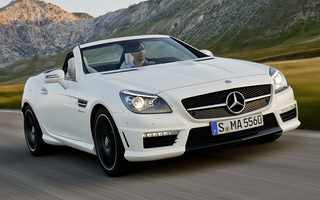 Mercedes-Benz SLK 55 AMG (2011) (#53348)