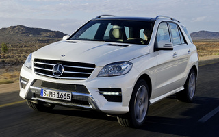 Mercedes-Benz M-Class AMG Styling (2011) (#53395)