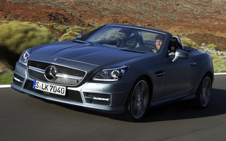 Mercedes-Benz SLK-Class AMG Styling (2011) (#53500)