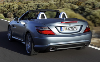 Mercedes-Benz SLK-Class AMG Styling (2011) (#53501)