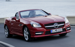 Mercedes-Benz SLK-Class AMG Styling (2011) (#53503)