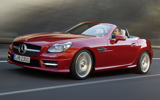 Mercedes-Benz SLK-Class AMG Styling (2011) (#53505)