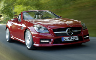 Mercedes-Benz SLK-Class AMG Styling (2011) (#53507)