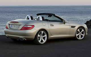 Mercedes-Benz SLK-Class (2011) (#53523)