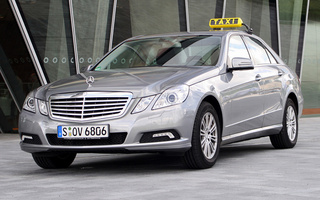 Mercedes-Benz E-Class Taxi (2009) (#54040)