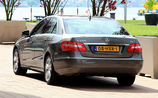 Mercedes-Benz E-Class Avantgarde (2009) (#54174)