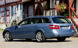 Mercedes-Benz E-Class Estate Avantgarde (2009) (#54196)