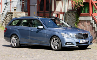 Mercedes-Benz E-Class Estate Avantgarde (2009) (#54202)
