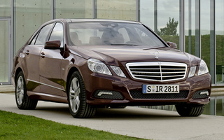 Mercedes-Benz E-Class Avantgarde (2009) (#54242)