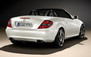 Mercedes-Benz SLK-Class 2Look Edition (2009) (#54251)