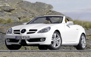 Mercedes-Benz SLK-Class (2008) (#54483)