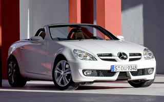 Mercedes-Benz SLK-Class (2008) (#54484)