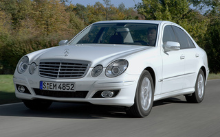 Mercedes-Benz E-Class (2006) (#54505)