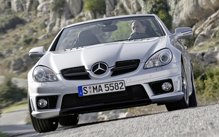 Mercedes-Benz SLK 55 AMG (2008) (#54716)