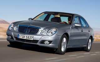 Mercedes-Benz E-Class Natural Gas (2006) (#55067)