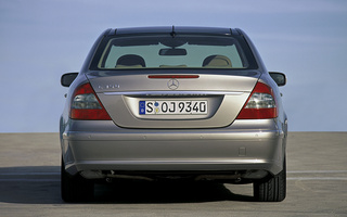 Mercedes-Benz E-Class (2006) (#55106)