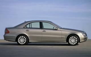 Mercedes-Benz E-Class (2006) (#55107)