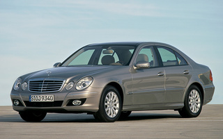 Mercedes-Benz E-Class (2006) (#55108)