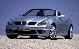 Mercedes-Benz SLK 55 AMG (2004) (#55513)