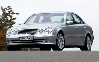 Mercedes-Benz E-Class Avantgarde (2002) (#55635)