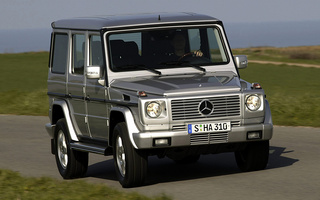 Mercedes-Benz G-Class (2002) (#55723)