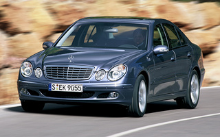 Mercedes-Benz E-Class (2002) (#55765)