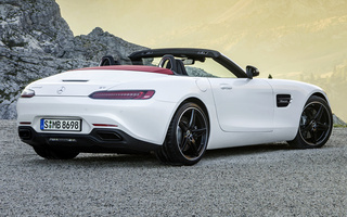 Mercedes-AMG GT Roadster (2016) (#57849)