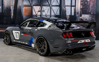 Ford Mustang GT4 Race Car (2016) (#58475)