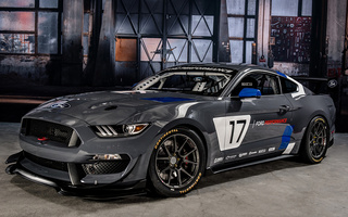 Ford Mustang GT4 Race Car (2016) (#58476)