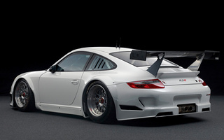 Porsche 911 GT3 RSR (2009) (#58817)