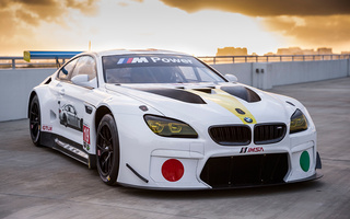 BMW M6 GTLM Art Car by John Baldessari (2016) (#59449)