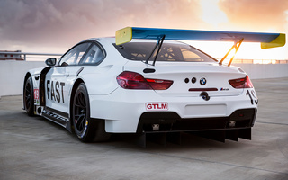 BMW M6 GTLM Art Car by John Baldessari (2016) (#59450)