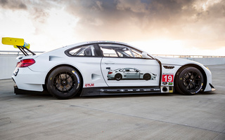 BMW M6 GTLM Art Car by John Baldessari (2016) (#59452)