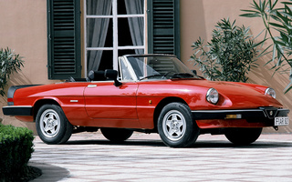 Alfa Romeo Spider (1983) (#60950)