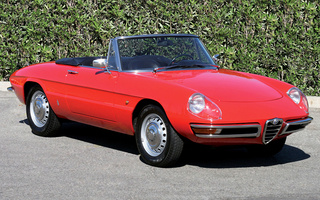 Alfa Romeo Spider 1600 Duetto (1966) (#60954)