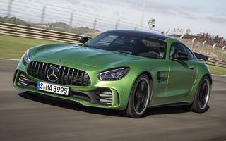 Mercedes-AMG GT R (2016) (#61695)