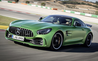 Mercedes-AMG GT R (2016) (#61696)