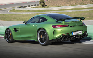 Mercedes-AMG GT R (2016) (#61697)